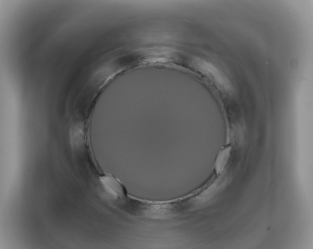 X0000111861353200908131451