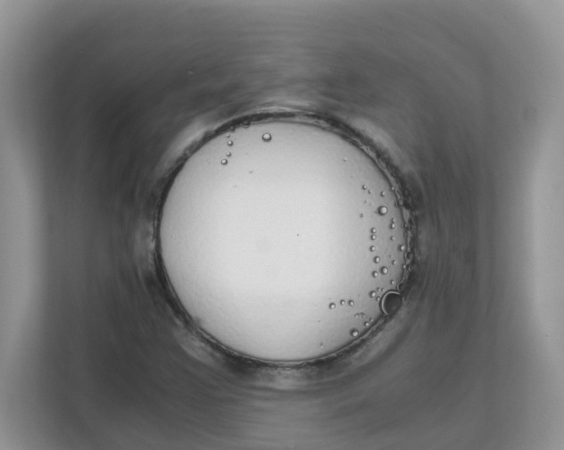 X0000111861355200908131451