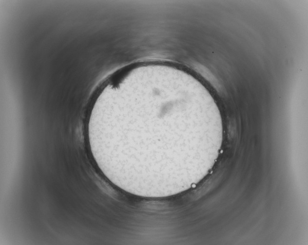 X0000111861356200908131451