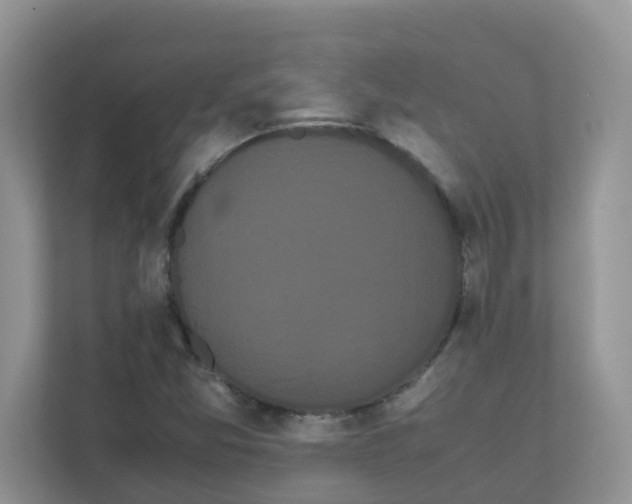 X0000111861357200908131451