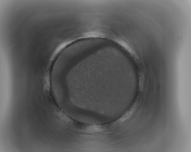 X0000111861358200908131451