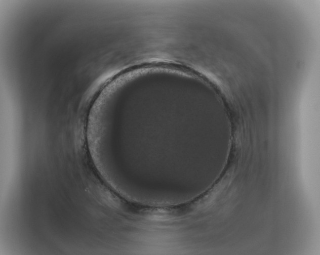 X0000111861359200908131451