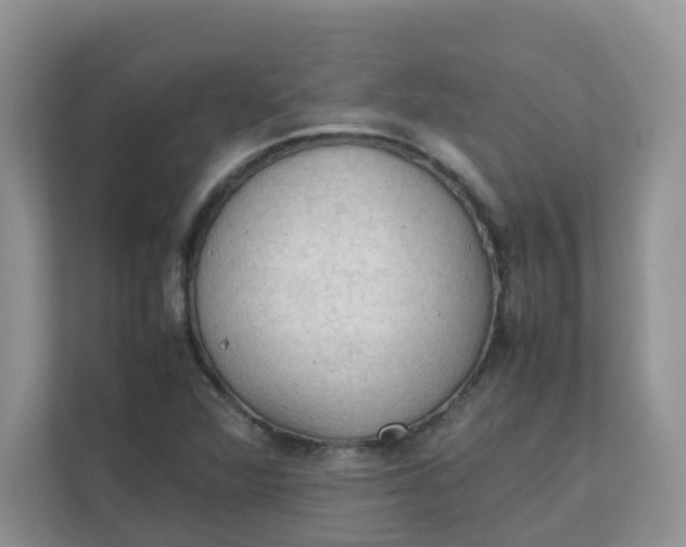 X0000111861360200908131451