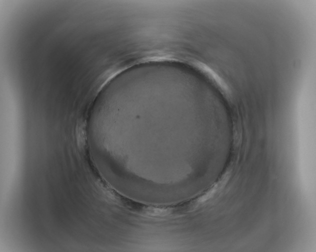 X0000111861361200908131451