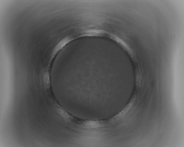 X0000111861362200908131451