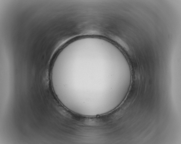 X0000111861364200908131451