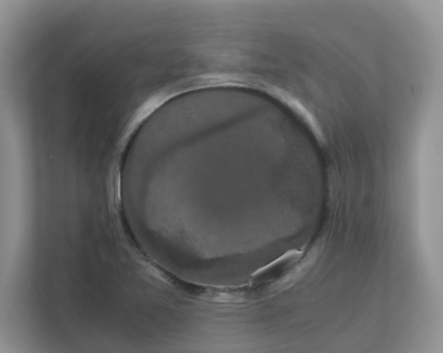 X0000111861365200908131451