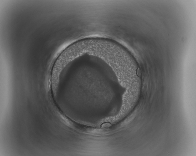 X0000111861367200908131451