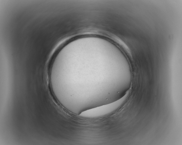 X0000111861368200908131451