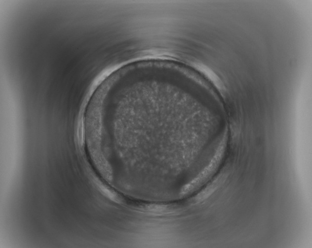 X0000111861371200908131450