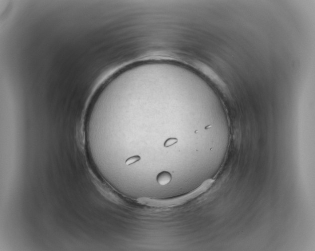 X0000111861372200908131450