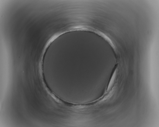 X0000111861373200908131450