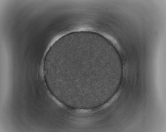 X0000111861374200908131450