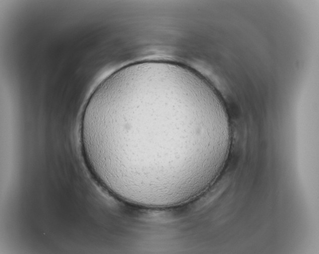 X0000111861375200908131450