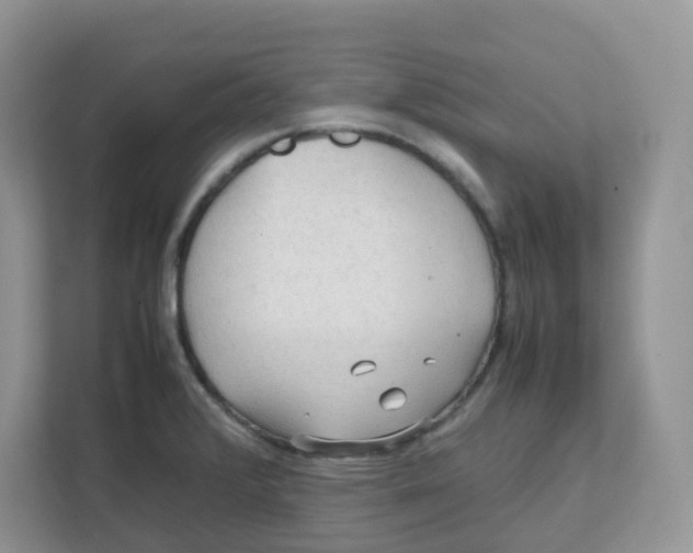 X0000111861376200908131450