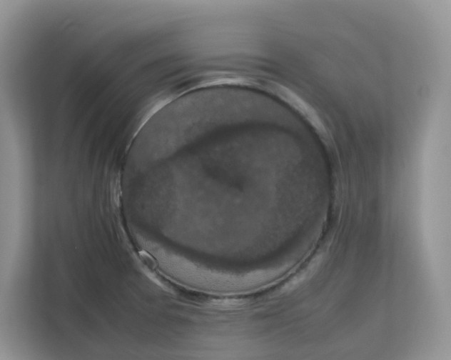 X0000111861377200908131450