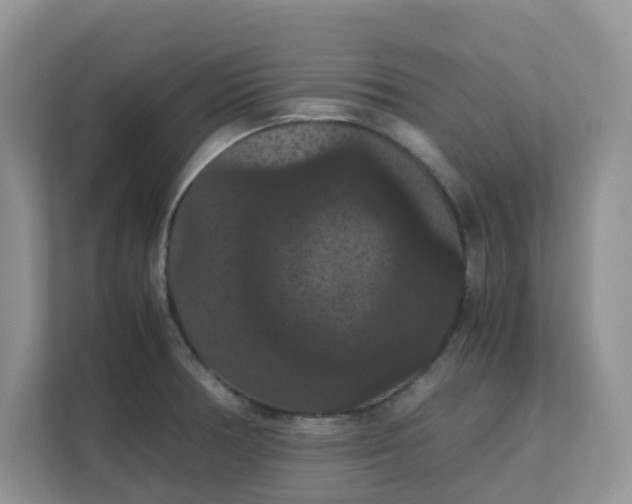 X0000111861378200908131450