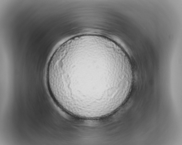 X0000111861379200908131450