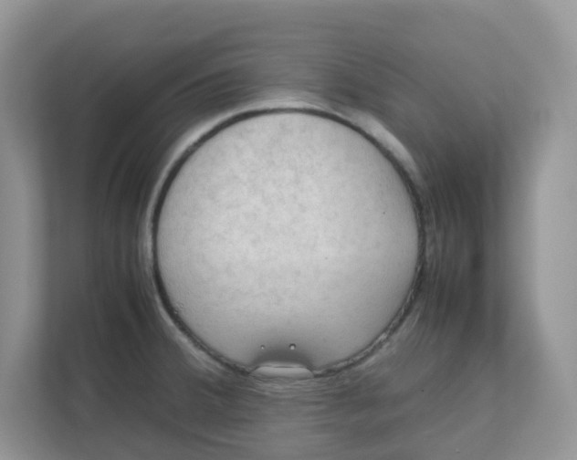 X0000111861380200908131450