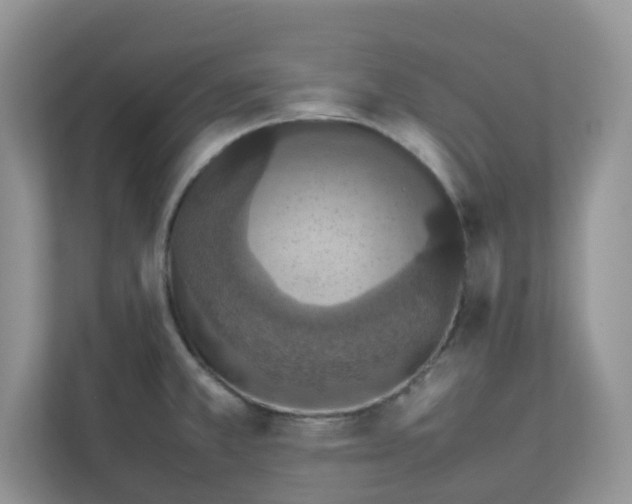 X0000111861381200908131450