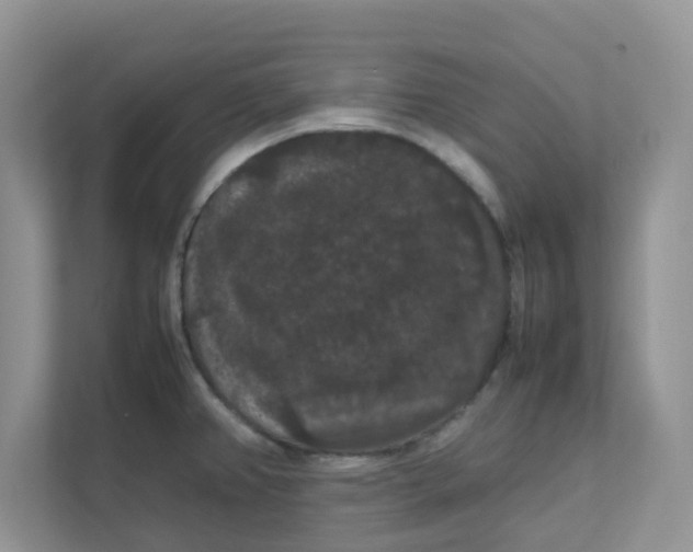 X0000111861382200908131450