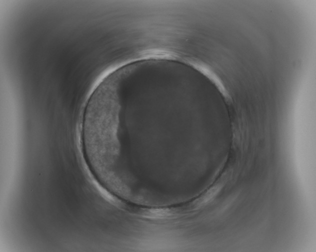 X0000111861383200908131450