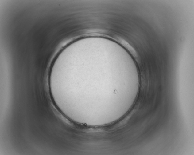 X0000111861384200908131450