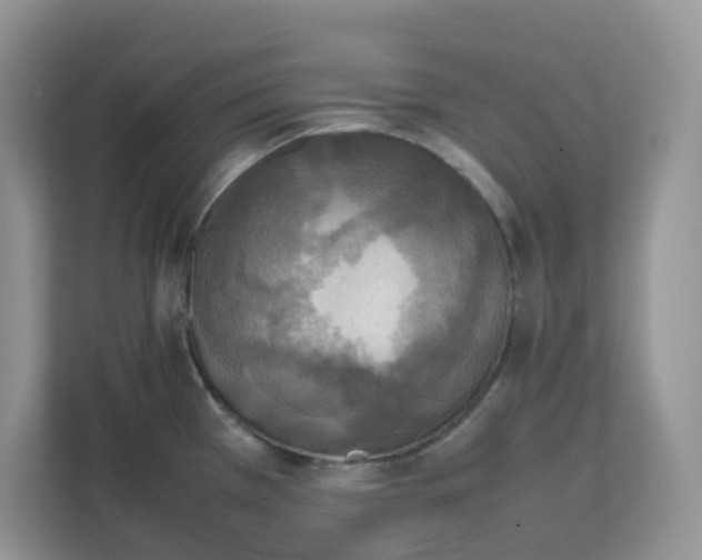 X0000111861385200908131450