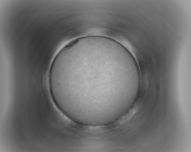 X0000111861389200908131450