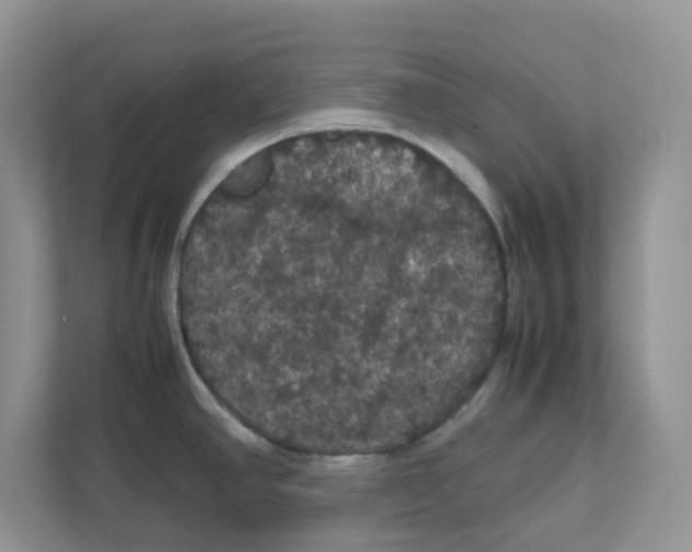 X0000111861390200908131450