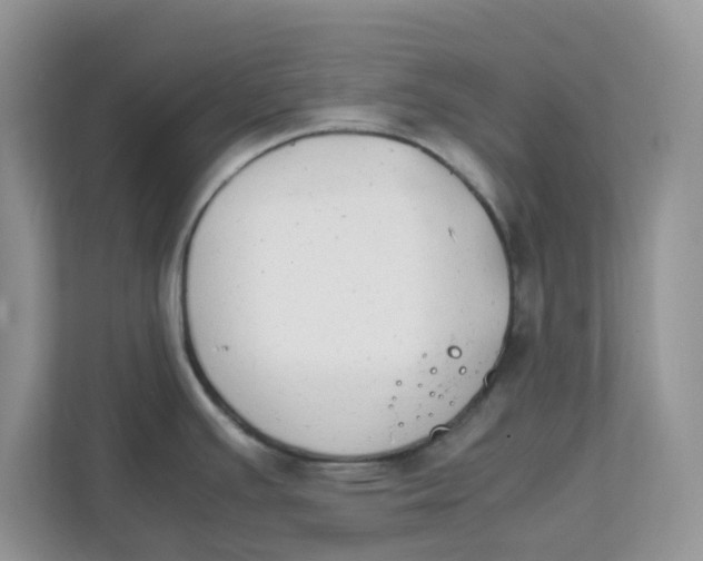 X0000111861391200908131450