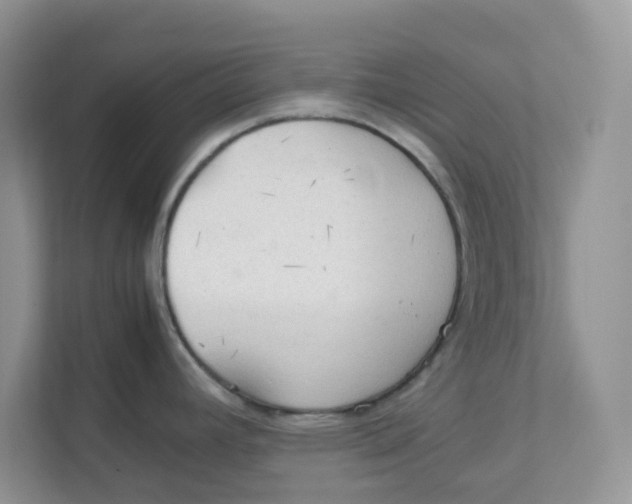 X0000111861392200908131450