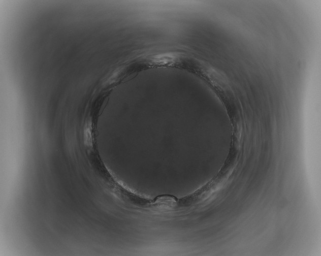 X0000111861394200908131450