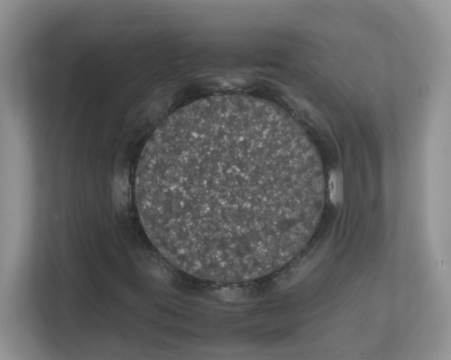 X0000111861395200908131450