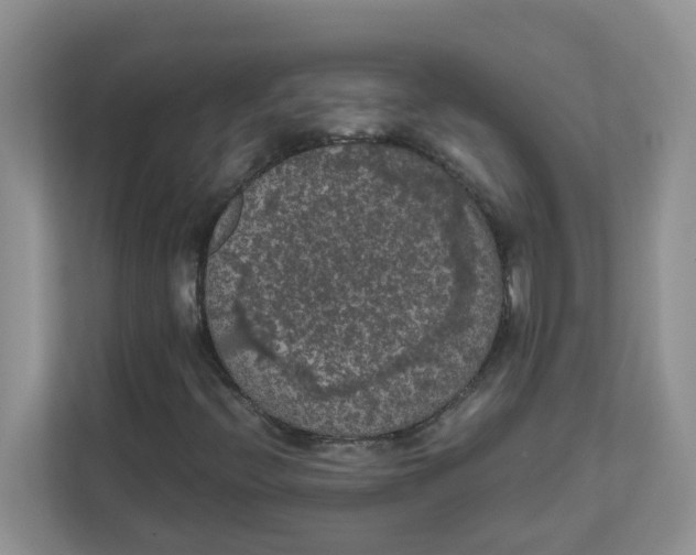 X0000111861396200908131450