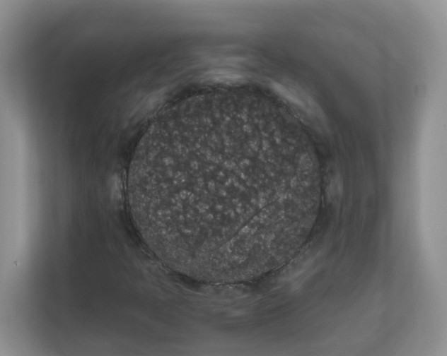 X0000111861397200908131450