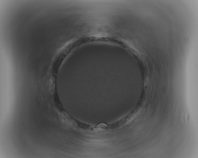 X0000111861398200908131450