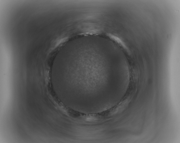 X0000111861399200908131450