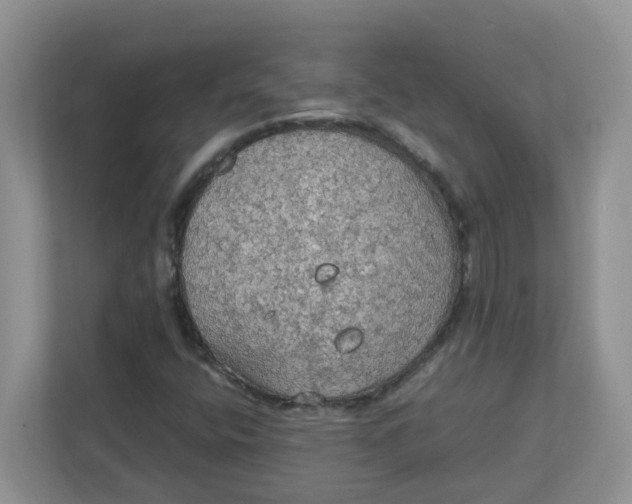 X0000111861400200908131450