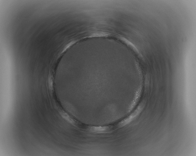 X0000111861401200908131450