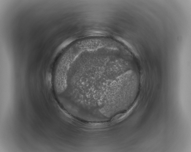 X0000111861402200908131450