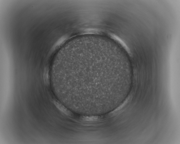 X0000111861403200908131450