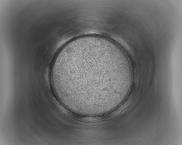 X0000111861404200908131450