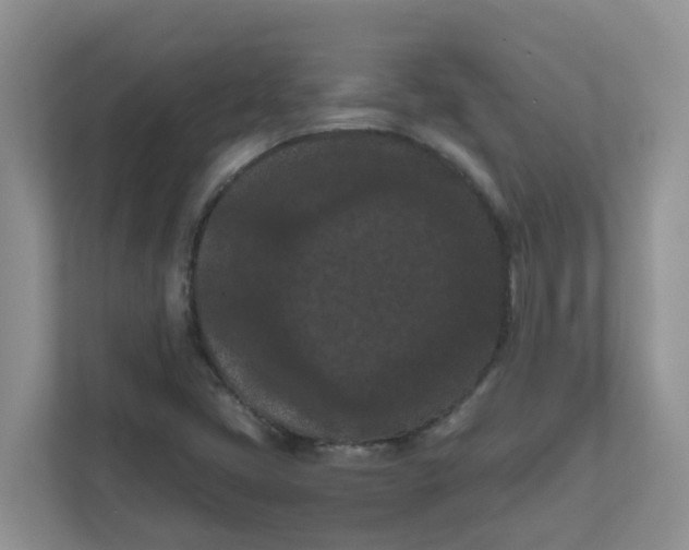 X0000111861405200908131450