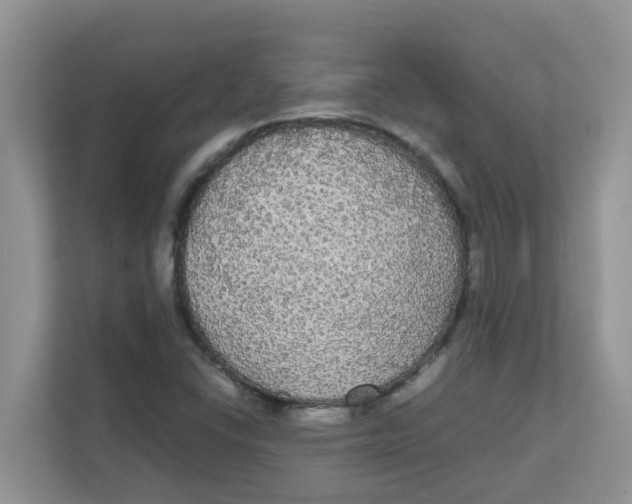 X0000111861406200908131450