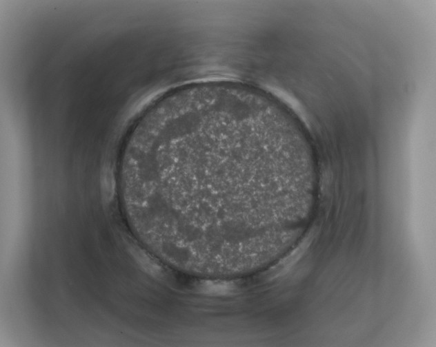 X0000111861407200908131450