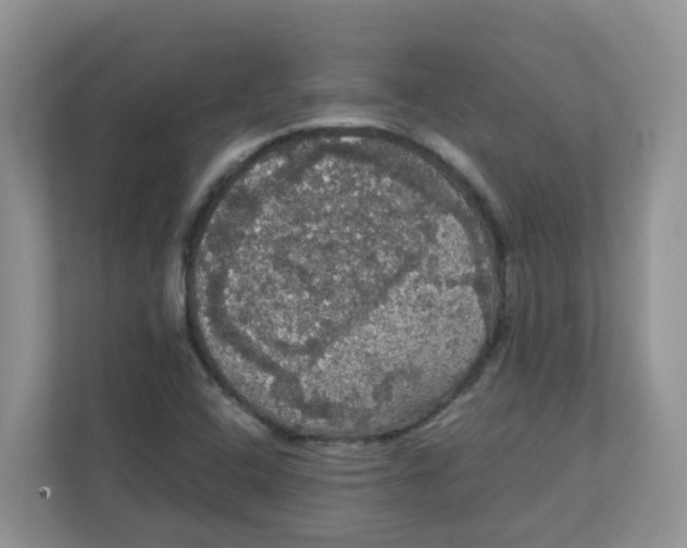 X0000111861408200908131450