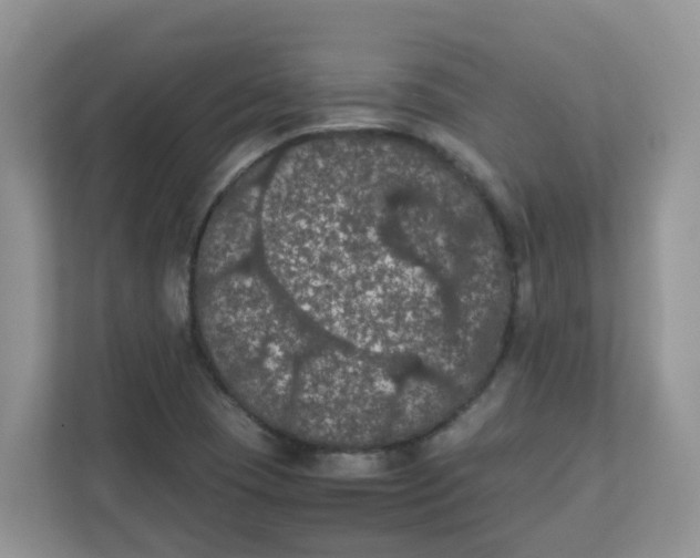 X0000111861409200908131450