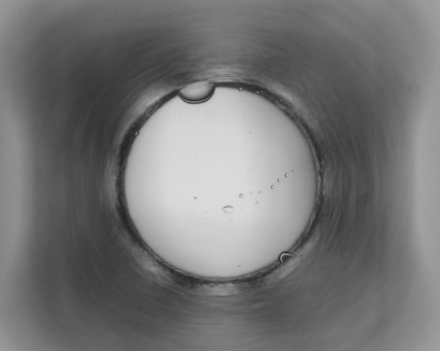 X0000111861410200908131450