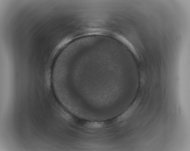 X0000111861411200908131450